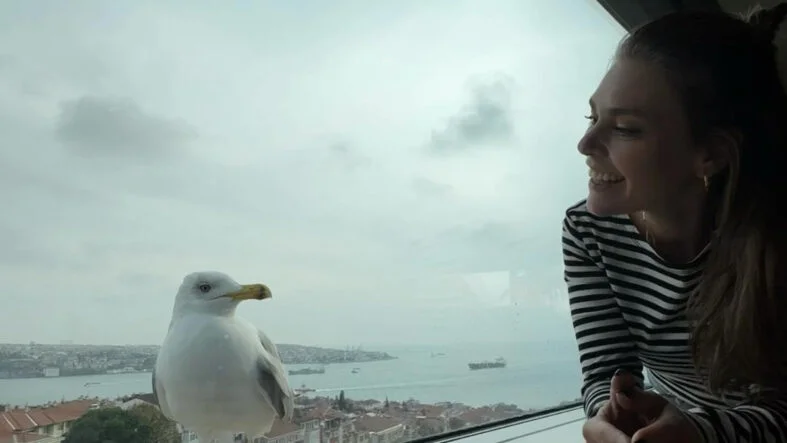 Aslı Enver'in 41. Yaş Doğum Günü Kutlaması Sosyal Medyayı Salladı!